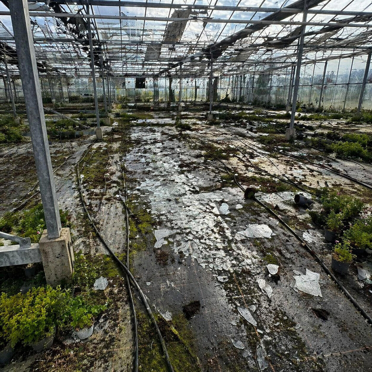 Arbeiter bei der Asbestsanierung im Freien Arbeiter bei der Asbestsanierung im Freien