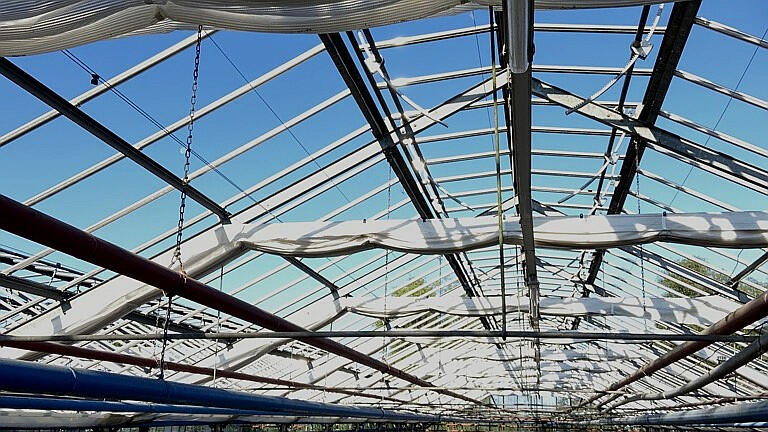 Gewächshaus Innenraum – Verglasung und Konstruktion im Überblick Gewächshaus Innenansicht mit Glasdach und Konstruktion in dunkler, moderner Darstellung